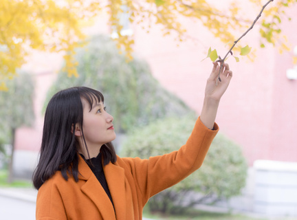 庆贺申遗成功“春节”数字笔墨发行